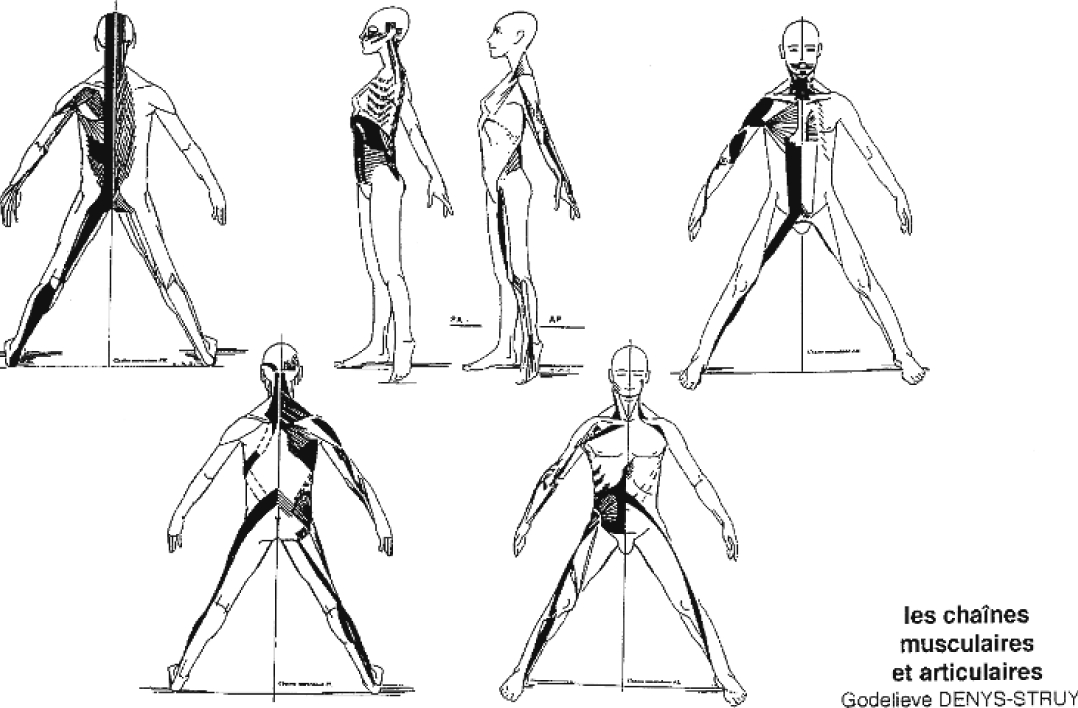 chaine musculaire bruay la buissiere